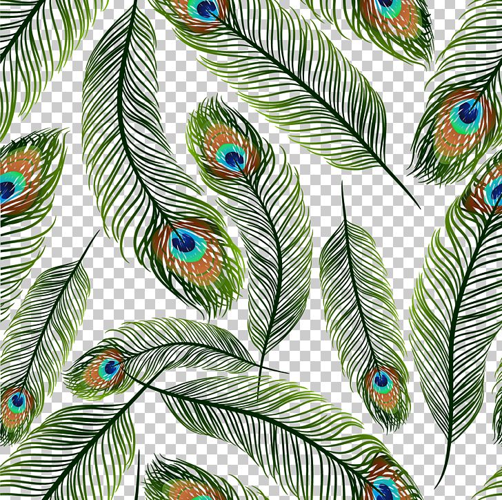 Feather Peafowl Euclidean PNG, Clipart, Animal, Animal Feathers, Asiatic Peafowl, Bird, Design Free PNG Download