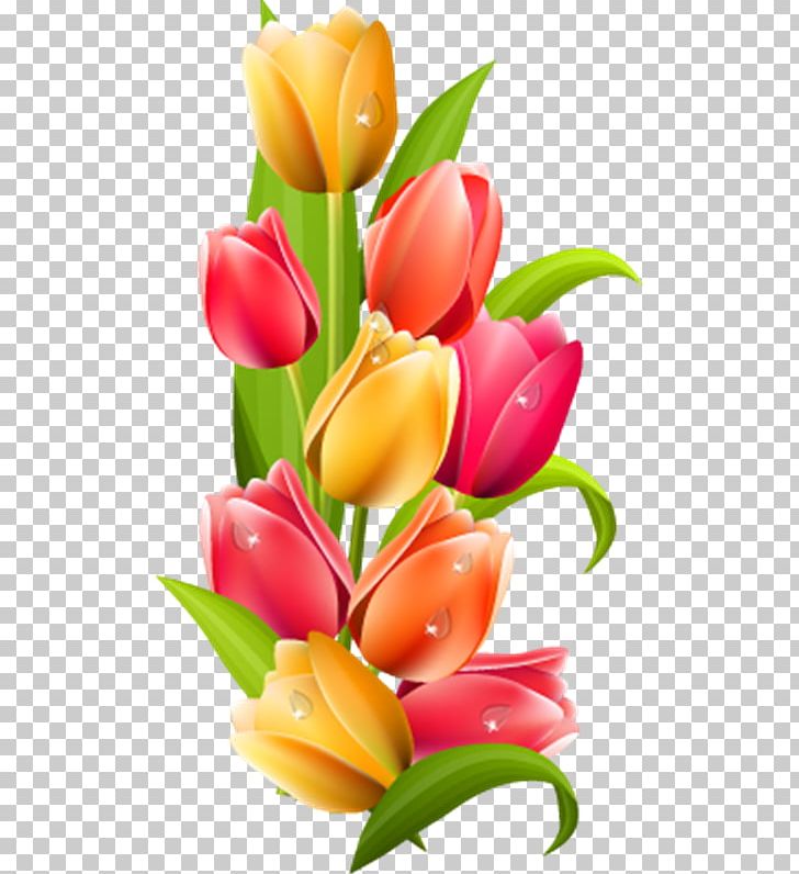 Flower Tulip PNG, Clipart, Cut Flowers, Desktop Wallpaper, Encapsulated Postscript, Floral Design, Floristry Free PNG Download