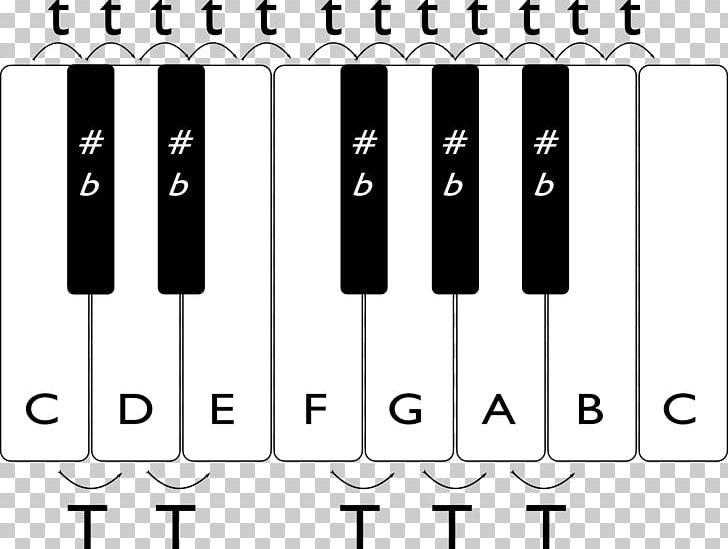 Musical Keyboard Semitone Musical Note Scale PNG, Clipart, Angle, Area, Black And White, Brand, Chromaticism Free PNG Download