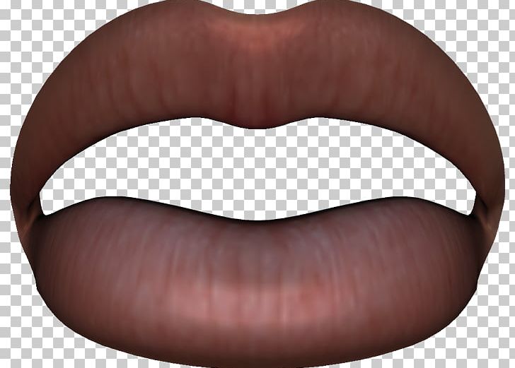 PhotoScape Lip GIMP Anatomy PNG, Clipart, Anatomy, Blog, Gimp, Homo Sapiens, Human Anatomy Free PNG Download