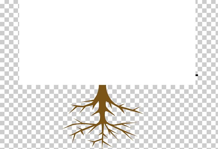 Tree Branch Root PNG, Clipart, Animation, Branch, Christmas Tree, Computer Wallpaper, Conifers Free PNG Download