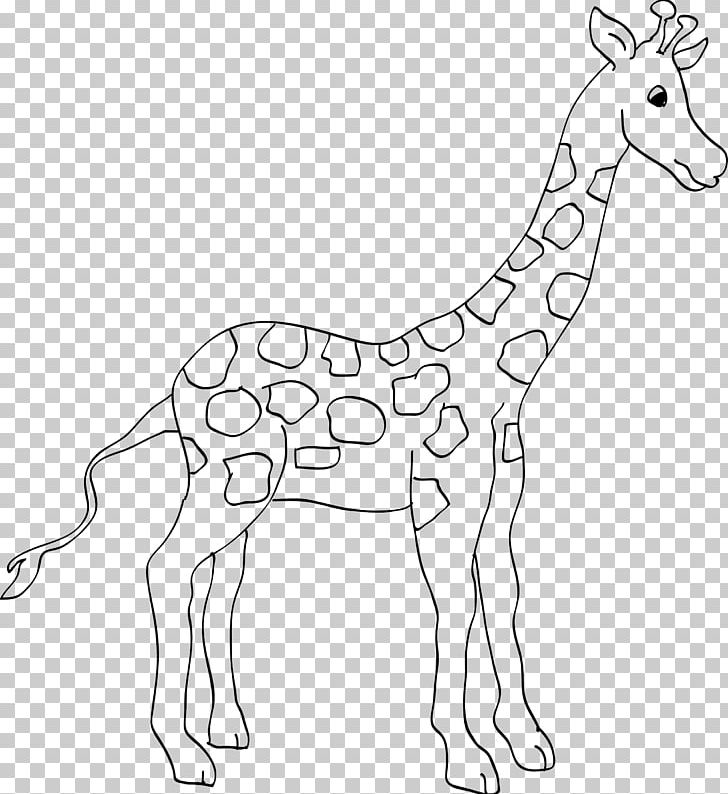 Animal Giraffe Coloring Book Ausmalbild Zoo PNG, Clipart, Animal, Animal Figure, Animals, Ausmalbild, Black And White Free PNG Download