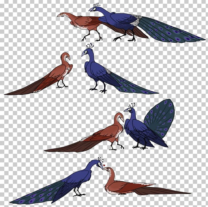 Bird Parrot Macaw Beak Feather PNG, Clipart, Animal, Animals, Beak, Bird, Fauna Free PNG Download