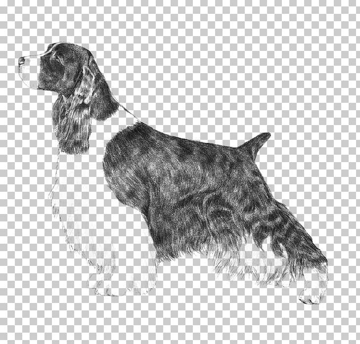 English Springer Spaniel Welsh Springer Spaniel Field Spaniel English Cocker Spaniel PNG, Clipart, American Cocker Spaniel, American Kennel Club, Carnivoran, Companion Dog, Dog Breed Free PNG Download