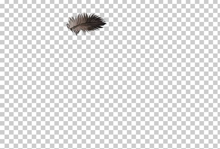 Feather Wing Animal PNG, Clipart, Animal, Animals, Black, Feather, Ostrich Free PNG Download