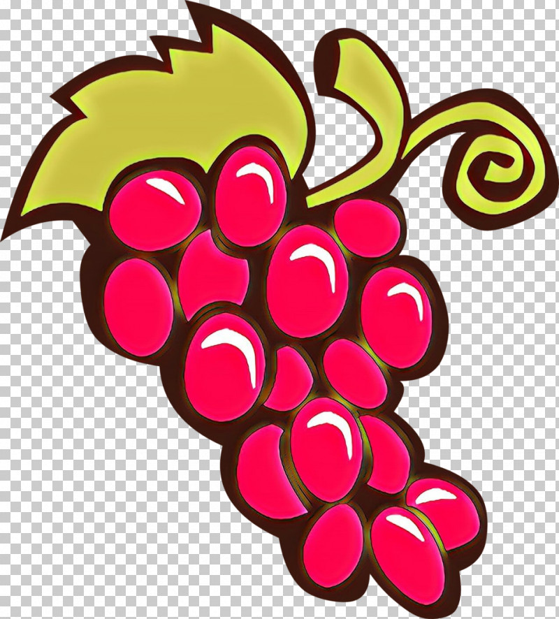 Grape Grapevine Family Pink Vitis Plant PNG, Clipart, Fruit, Grape, Grapevine Family, Magenta, Pink Free PNG Download