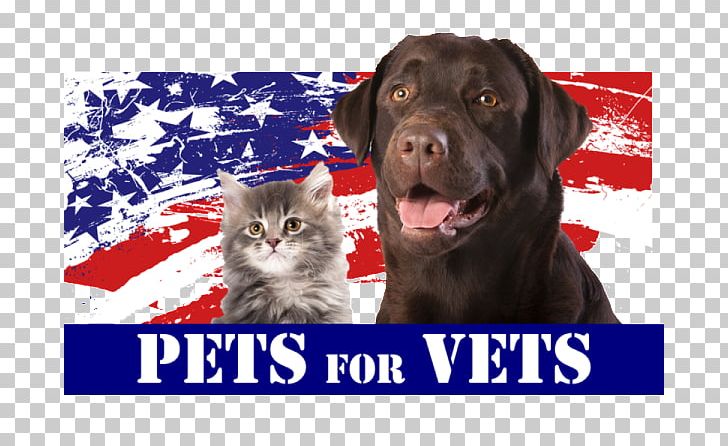 Dog Pets For Vets United States Animal Shelter PNG, Clipart, Animal, Animal Shelter, Animal Welfare, Art, Art Museum Free PNG Download
