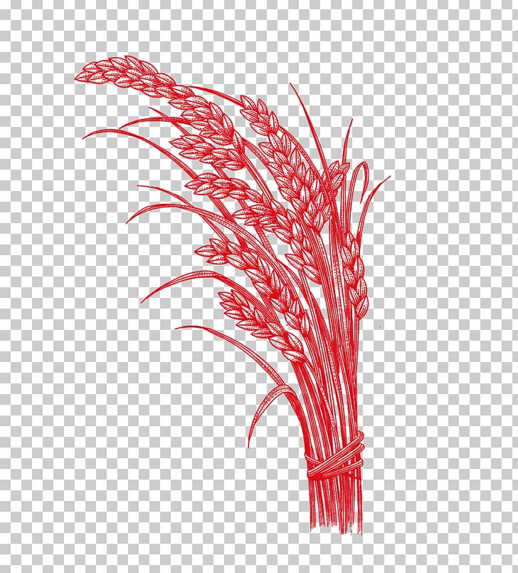 Rice Five Grains U6742u8c37 PNG, Clipart, Black Rice, Brown Rice, Cooked Rice, Fall, Five Grains Free PNG Download