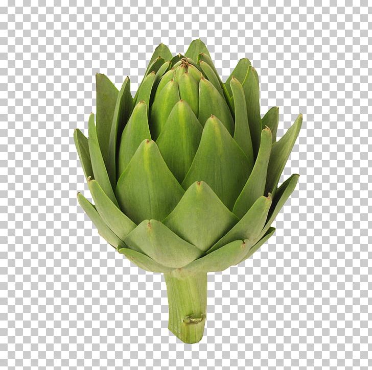 Artichoke Extract Organic Food Vegetable PNG, Clipart, Artichoke, Artichoke Extract, Cooking, Cynara, Cynarine Free PNG Download