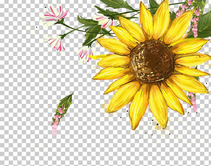 Flower PNG, Clipart, Adobe Illustrator, Daisy Family, Encapsulated Postscript, Flowers, Plant Free PNG Download