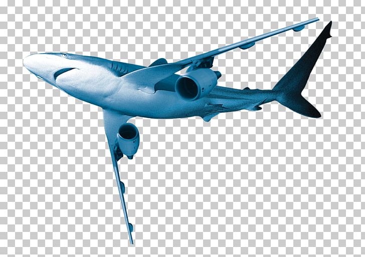 Great White Shark Airplane PNG, Clipart, Aerospace Engineering, Aircraft, Aircraft Engine, Aircraft Vector, Airline Free PNG Download