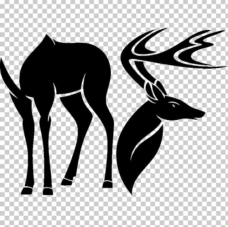 Red Deer White-tailed Deer Antler PNG, Clipart, Animals, Antelope, Antler, Art, Black And White Free PNG Download