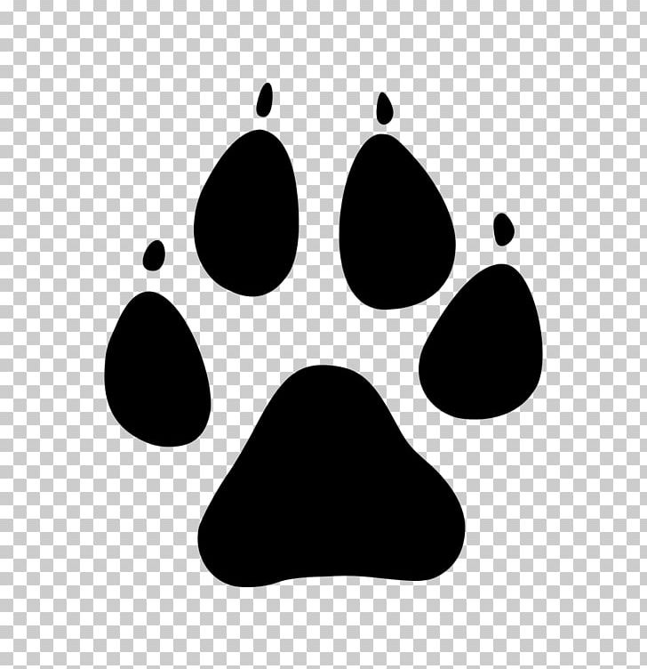 Cat Dog Cutie Mark Crusaders Mt Vernon Animal Shelter Paw PNG, Clipart, Animal, Animals, Animal Track, Black, Black And White Free PNG Download