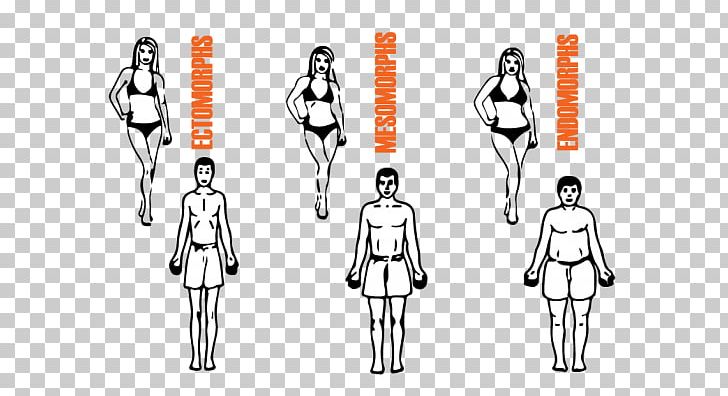 Female Body Shape Somatotype And Constitutional Psychology Eating Human Body Exercise PNG, Clipart, Arm, Black And White, Bodybuilding, Cartoon, Diet Free PNG Download