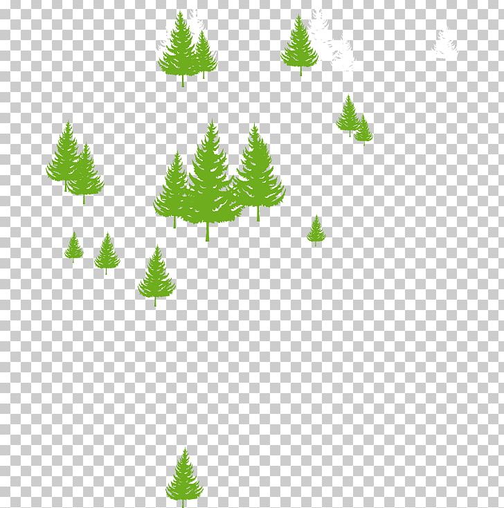 Fir Christmas Ornament Spruce Pine Christmas Tree PNG, Clipart, Branch, Christmas, Christmas Decoration, Christmas Ornament, Christmas Tree Free PNG Download