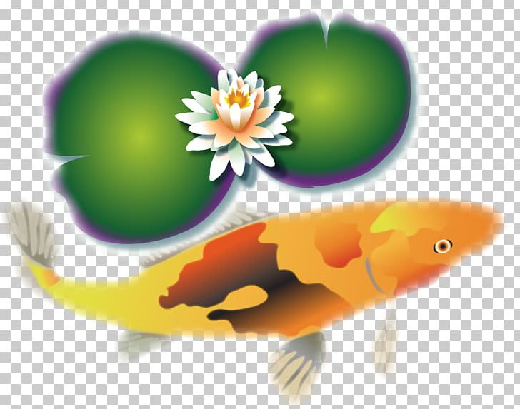 Orange Blue Green Koi Brown PNG, Clipart, Animal, Biology, Black, Blue, Brown Free PNG Download