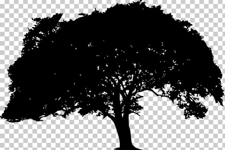 Silhouette Branch PNG, Clipart, Animals, Black, Black And White, Bra, Computer Free PNG Download