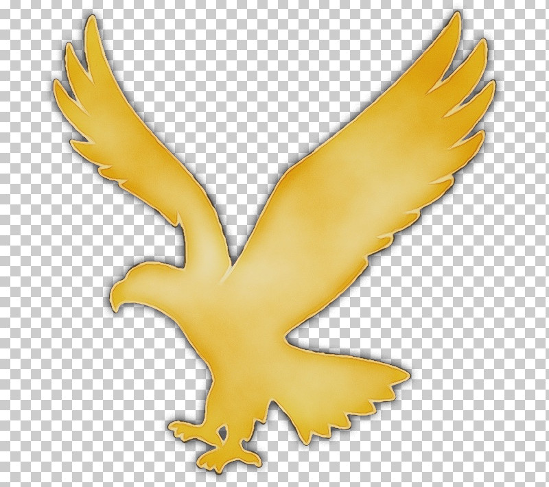 Wing Yellow Beak Bird Golden Eagle PNG, Clipart, Animal Figure, Beak, Bird, Claw, Eagle Free PNG Download