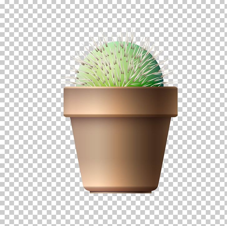 Cactaceae Flowerpot Euclidean Plant PNG, Clipart, Bonsai, Cactaceae, Cactus, Designer, Download Free PNG Download