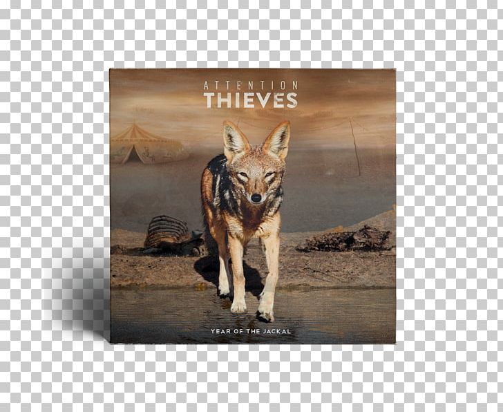 Attention Thieves The Year Of The Jackal Album If You're Not With Us PNG, Clipart,  Free PNG Download