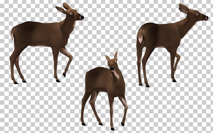 Elk White-tailed Deer Art Antelope PNG, Clipart, Animal, Animal Figure, Animals, Antelope, Antler Free PNG Download