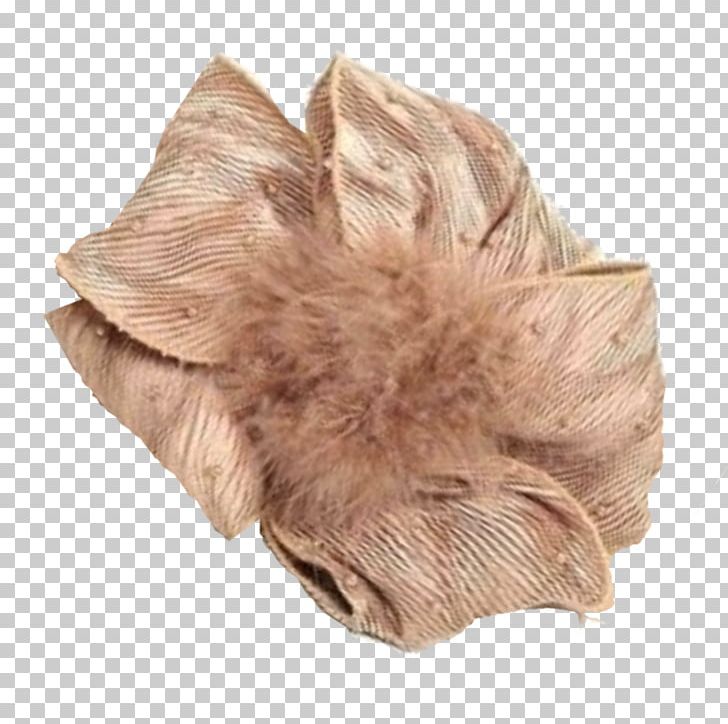 Feather PNG, Clipart, Abs, Animals, April, Computer, Feather Free PNG Download