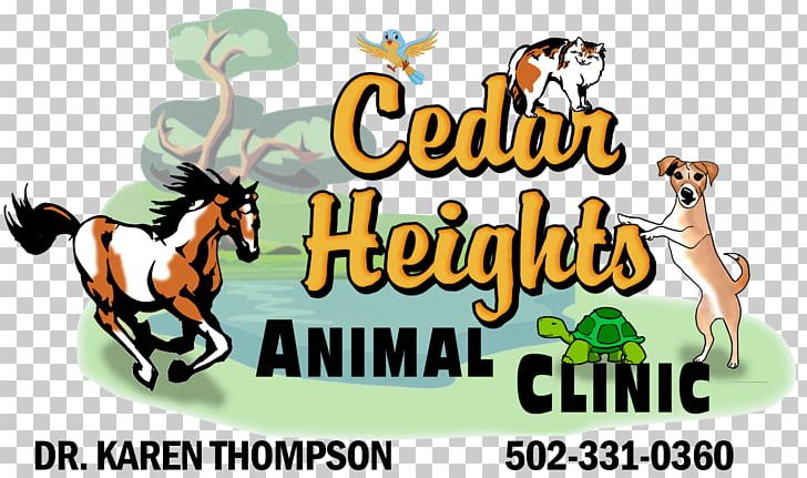 Horse Bardstown Cedar Heights Animal Clinic Hikes Point PNG, Clipart, Animals, Bardstown, Cartoon, Disease, Health Free PNG Download