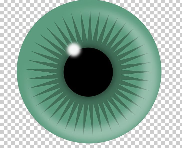 Human Eye Iris Pupil PNG, Clipart, Aqua, Circle, Eye, Eye Color, Green Free PNG Download
