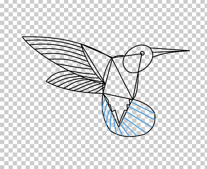 Hummingbird Drawing Line Art Painting PNG, Clipart, Angle, Area, Art, Artwork, Black And White Free PNG Download