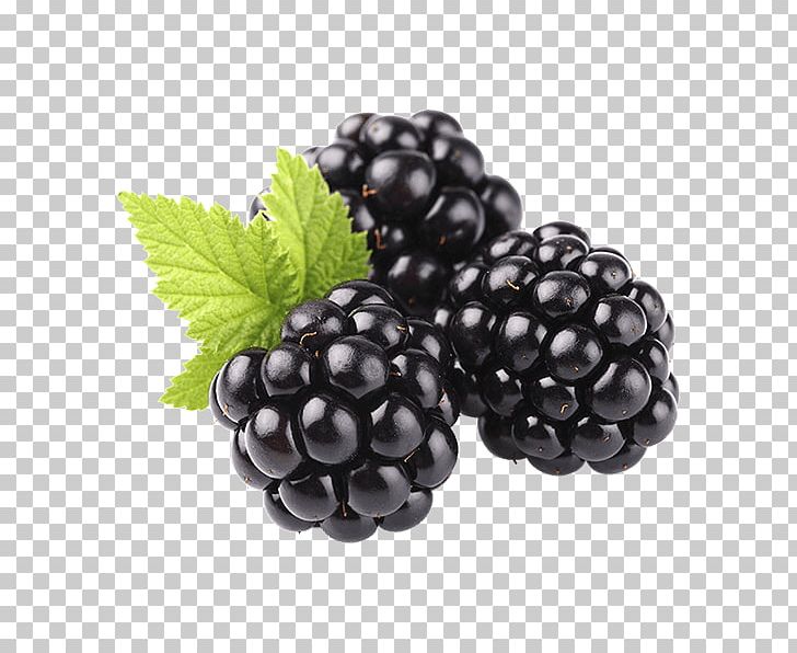 Blackberry Fruit Shutterstock Food PNG, Clipart, Aggregate Fruit, Bilberry, Blackberry, Blackberry Fruit, Boysenberry Free PNG Download