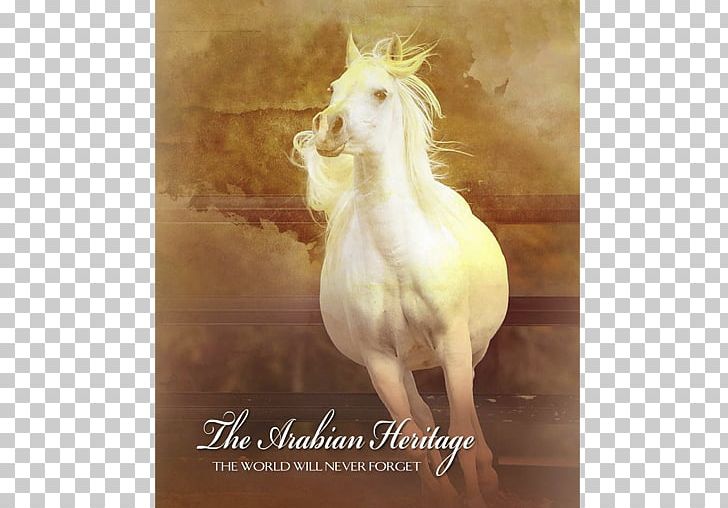 Arabian Horse Stallion Mustang Mare Unicorn PNG, Clipart, Arabian Horse, Arabian Peninsula, Fauna, Horse, Horse Like Mammal Free PNG Download