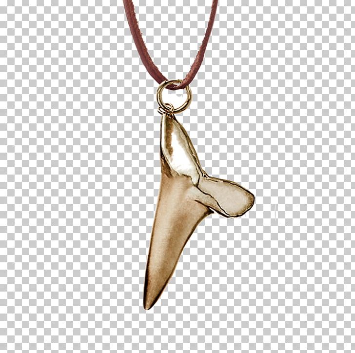 Charms & Pendants Shark Tooth Jewellery Necklace PNG, Clipart, Bangle, Chain, Charms Pendants, Dimension, Fashion Accessory Free PNG Download