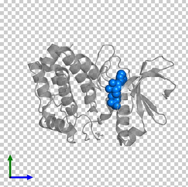 Georgetown University Georgetown Lombardi Comprehensive Cancer Center Metabolomics Proteomics PNG, Clipart, Body Jewelry, Georgetown, Georgetown University, Mass Spectrometry, Metabolomics Free PNG Download