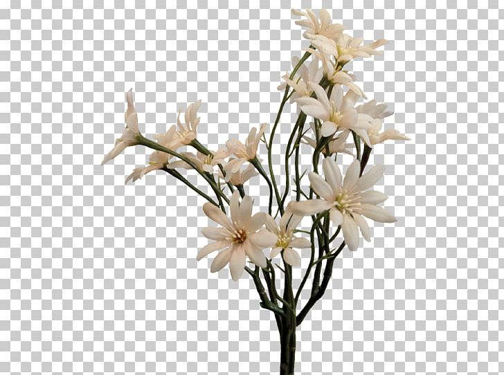 Sea Aster Cut Flowers Artificial Flower Plant Stem PNG, Clipart, Anemone, Artificial Flower, Aster, Black And White, Branch Free PNG Download