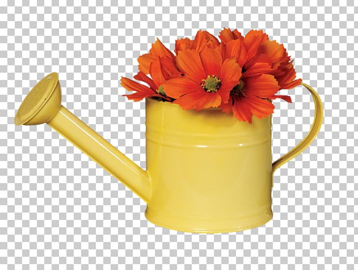 Watering Cans Gardening 97 Things To Do Before You Finish High School PNG, Clipart, Bucket, Can Clipart, Download, Flower, Flower Garden Free PNG Download