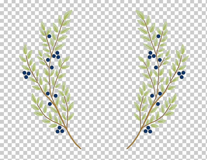 Plant Flower Grass Family Twig Delphinium PNG, Clipart, Delphinium, Flower, Grass Family, Pedicel, Plant Free PNG Download