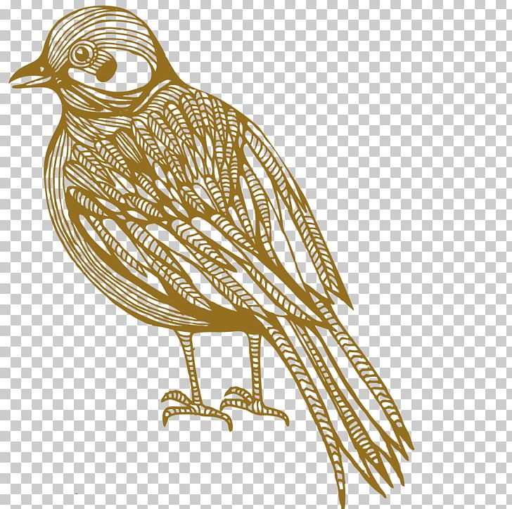 Bird Cartoon Photography Illustration PNG, Clipart, Adobe Illustrator, Animal, Animals, Bird, Bird Cage Free PNG Download