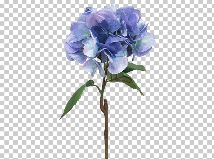 Cabbage Rose Hydrangea Cut Flowers Floral Design PNG, Clipart, Artificial Flower, Blue, Cornales, Cut Flowers, Floral Design Free PNG Download