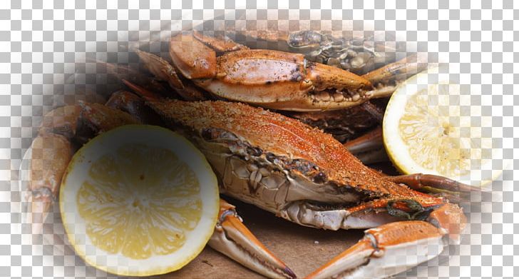 Dungeness Crab Maine Avenue Fish Market Snow Crab Red King Crab PNG, Clipart, Animals, Animal Source Foods, Calorie, Captain, Crab Free PNG Download