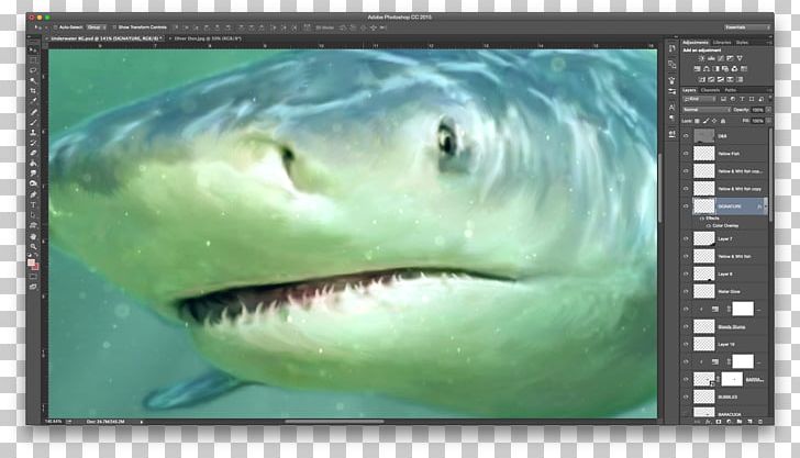 Tiger Shark Great White Shark Lamniformes Requiem Sharks PNG, Clipart, Animals, Biology, Carcharhiniformes, Cartilaginous Fish, Closeup Free PNG Download