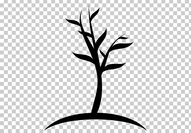 Tree Computer Icons Trunk PNG, Clipart, Artwork, Black And White, Branch, Computer Icons, Download Free PNG Download