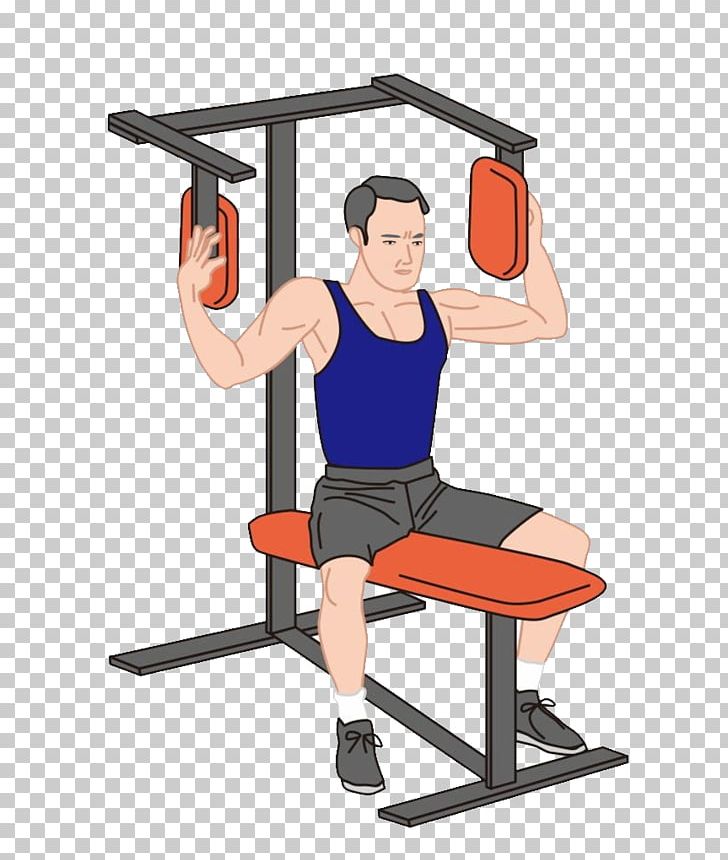 Weight Training Physical Fitness Muscle PNG, Clipart, Abdomen, Angle, Arm, Body, Cartoon Free PNG Download