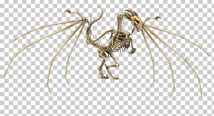 European Dragon Skeleton Skull PNG, Clipart, Animation, Arthropod, Dragon, Dungeons Dragons, European Dragon Free PNG Download
