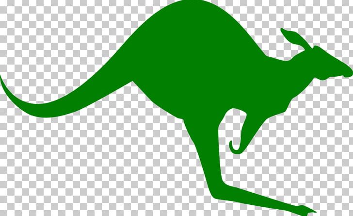 Red Kangaroo Koala Boxing Kangaroo PNG, Clipart, Animals, Area, Australia, Boxing Kangaroo, Fauna Free PNG Download