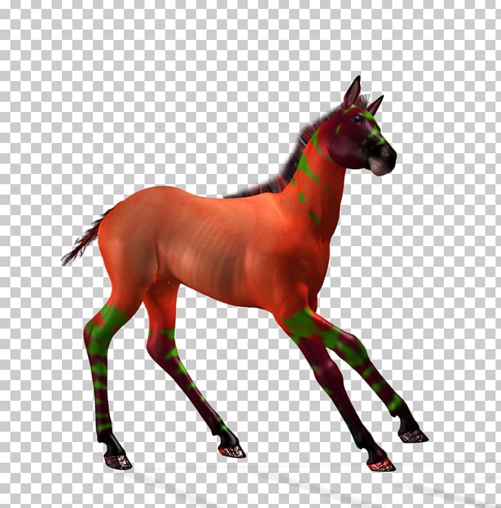 Foal Stallion Mare Colt Mustang PNG, Clipart, Art, Artist, Colt, Colt Mustang, Deviantart Free PNG Download