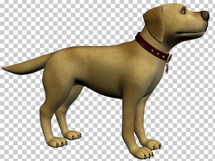 Labrador Retriever Puppy Dog Breed Companion Dog PNG, Clipart, Breed, Carnivoran, Companion Dog, Crossbreed, Dog Free PNG Download