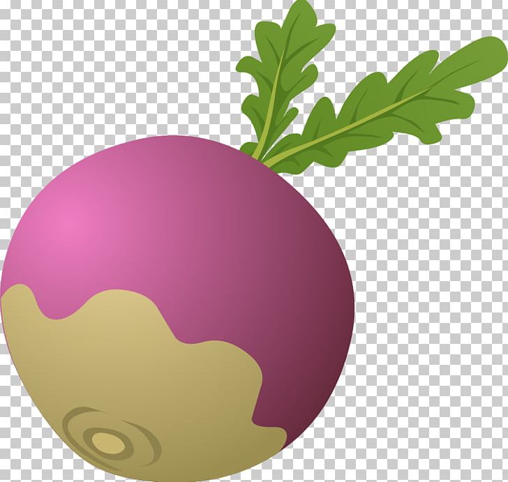 The Gigantic Turnip Vegetable PNG, Clipart, Beetroot, Blog, Cartoon, Computer, Food Free PNG Download