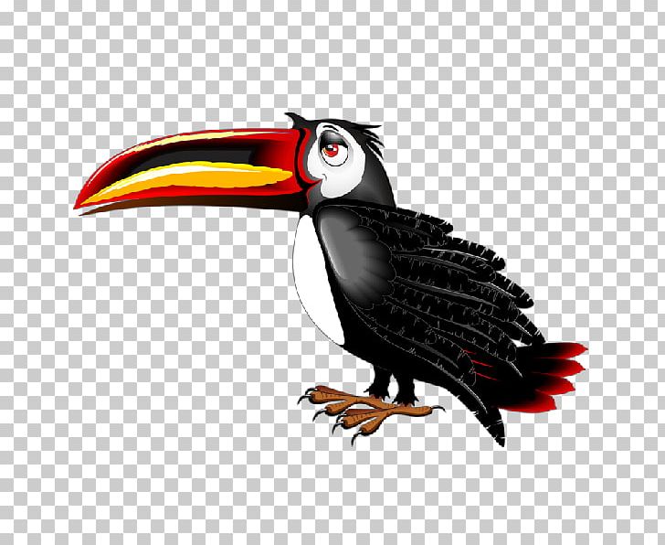 Bird Toucan Cartoon PNG, Clipart, Animal, Animals, Beak, Bird, Bird Of Prey Free PNG Download