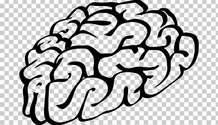 Brain Cartoon PNG, Clipart, Area, Art, Black And White, Brain, Brain Drawing Cliparts Free PNG Download