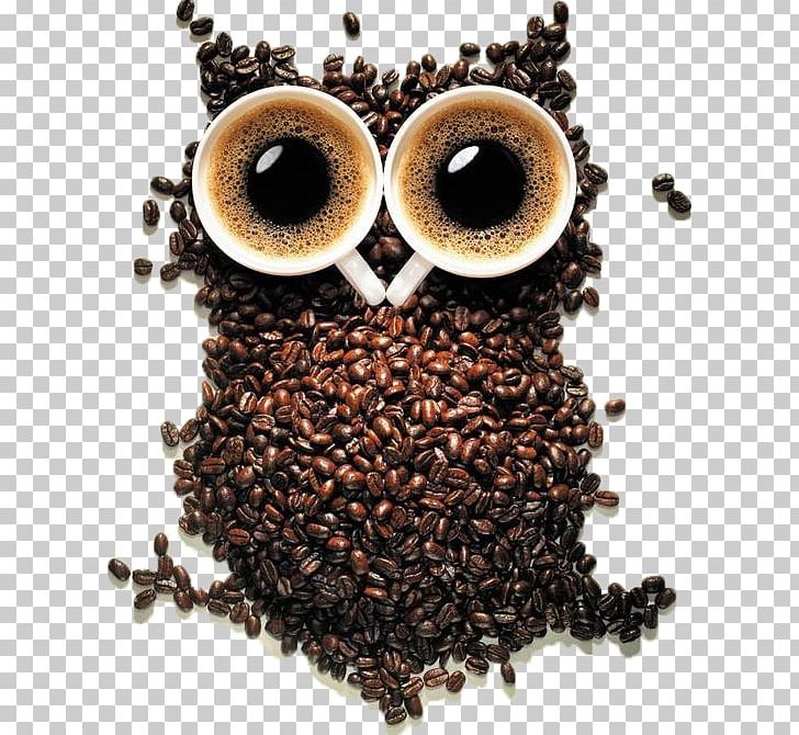 Coffee Cup Cafe Owl Coffee Bean PNG, Clipart, Barista, Cafe, Caffeine, Coffee, Coffee Bean Free PNG Download